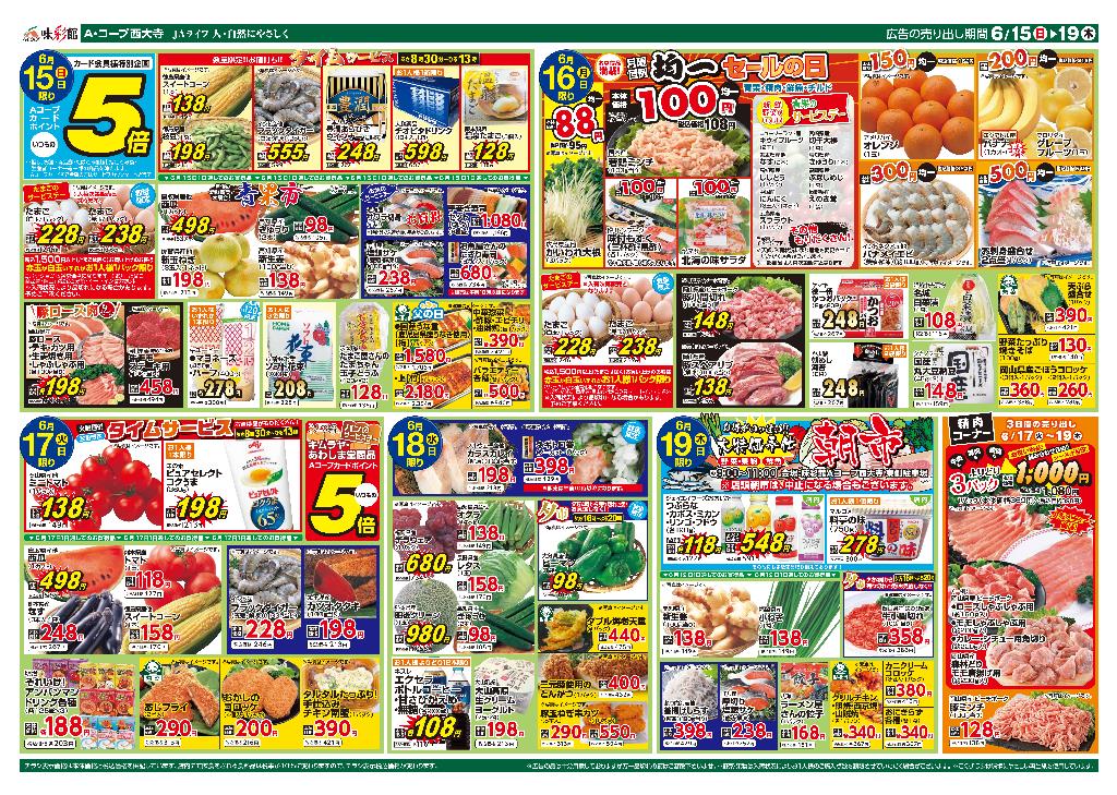 最新チラシ裏面