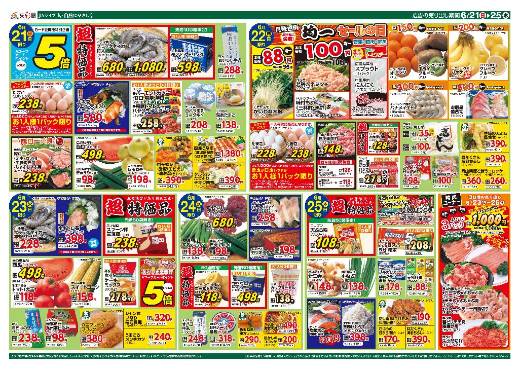 最新チラシ裏面
