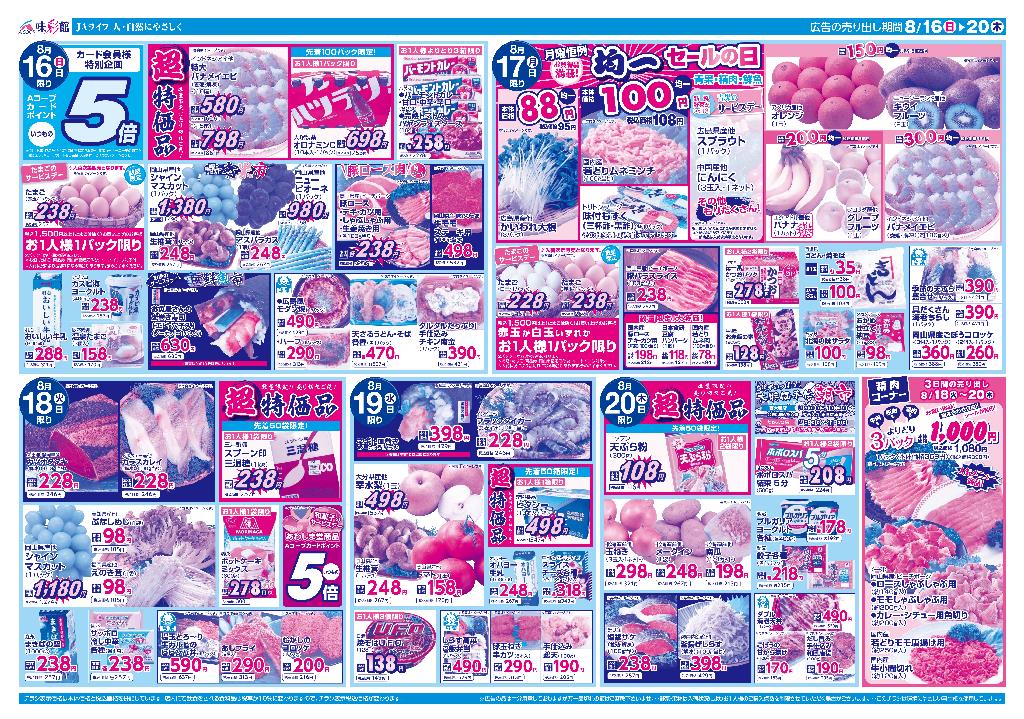 最新チラシ裏面